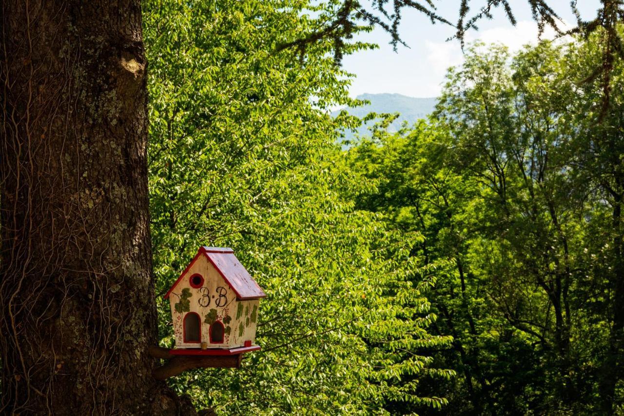 La Demeure Aux Pins Panzió Lourdes Kültér fotó